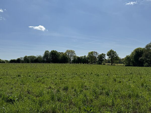 baugrundstück henstedt-ulzburg